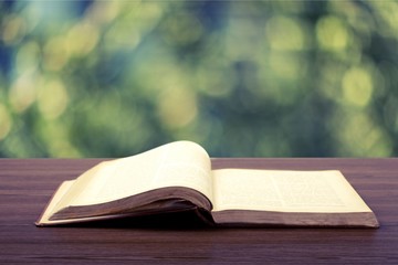 Big opened book on blurred natural background