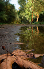 autumn vibes reflections on water