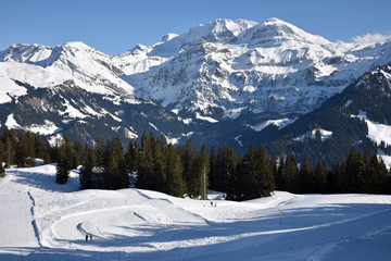 Fototapeta na wymiar L'hiver dans l'Oberland bernois, Suisse