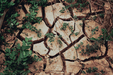 dry cracked earth