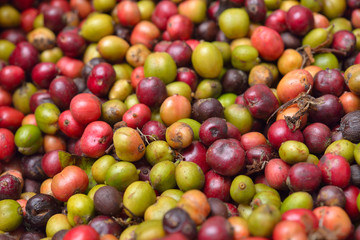 coffee beans background