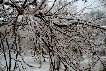 Fototapeta na wymiar Frozen nature background. Beautiful winter.