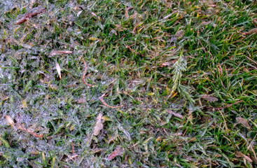 Frozen nature background. Beautiful winter.