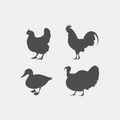 Chicken, rooster, duck, turkey vector silhouettes. Farm animals silhouettes