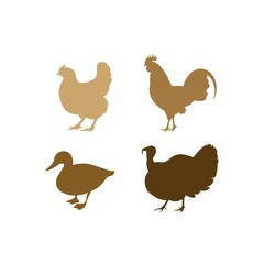 Chicken, rooster, duck, turkey vector silhouettes. Farm animals silhouettes