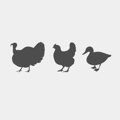 Chicken, duck, turkey vector silhouettes. Farm animals silhouettes