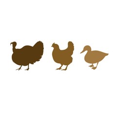 Chicken, duck, turkey vector silhouettes. Farm animals silhouettes
