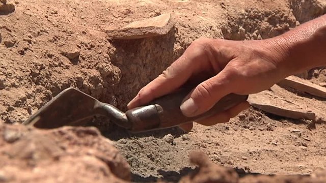 Close-up of an archaeologist using a trowel to dig in the dirt at an excavation site