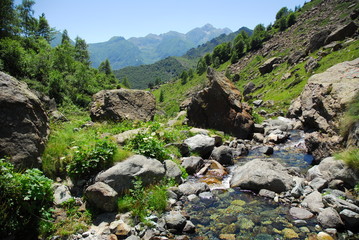 Fototapeta na wymiar Clear and fresh waters flowing in alpine torrents of Aosta valley, Italy.