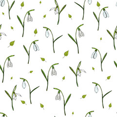 Vector seamless floral pattern of snowdrops and green leaves 
