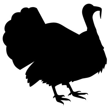 Animal silhouette turkey vector eps 10
