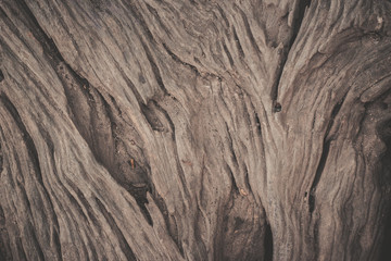 wood texture background