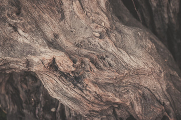wood texture background
