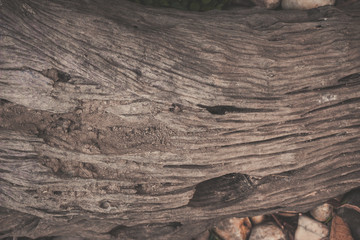 wood texture background