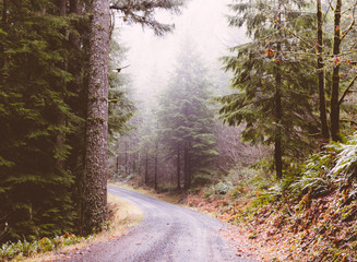 Fototapeta premium Welcome to paradise