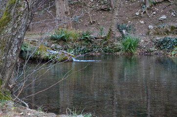 Well-groomed lake in a cold forest, it is filled with water from the mountains, beautiful and clean as a tear
