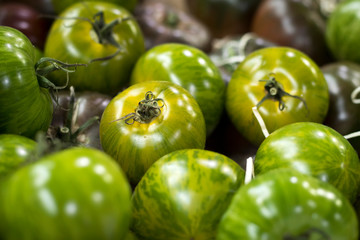 Fresh organic Cherry Tomatoes on Farmers Market in Catania. Sicily