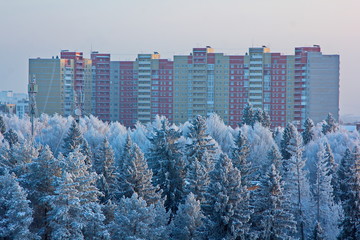 Forest covered with snow and a multistory house at sunset