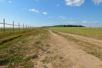 Fototapeta premium dirt road along a fence through summer green field