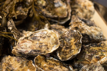 the Pool arbour rare native oysters and cherrystone clams on ice at the Borough Market in London