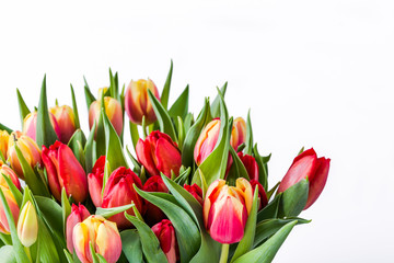 Bouquet of tulips, fresh bunch of colorful spring flowers isolated on white background, women's day gift or mother's day card