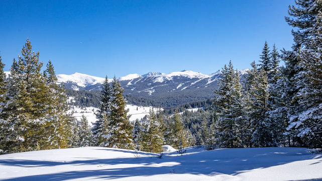 Vail Pass Winter Landscape 2