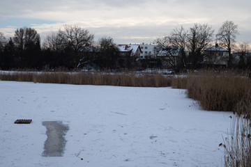 Zasnieżony staw z trzcinami i domami w tle © Seance_Photo_Sylwia