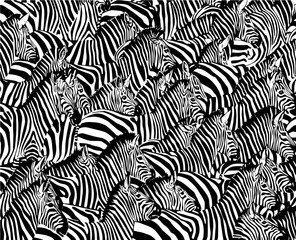 Graphical abstract illustration, zebra pattern, modern design cover, vector illustration