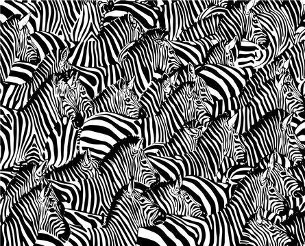 Graphical Abstract Illustration, Zebra Pattern, Modern Design Cover, Vector Illustration