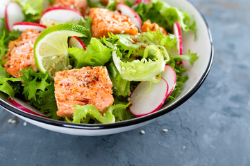 Healthy lunch salad with baked salmon fish, fresh radish, lettuce and lime