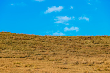 Fototapeta na wymiar yellow dry grassland yard at wakakusa mountain with blue sky from NARA national park Japan.