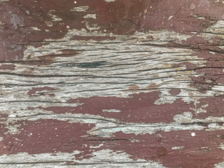 Fototapeta na wymiar color Peeling paint old wood wall texture for any design background.