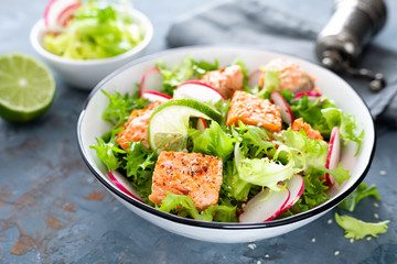 Healthy lunch salad with baked salmon fish, fresh radish, lettuce and lime