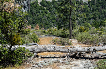 Scenic landscape of Yosemite Valley, California, USA