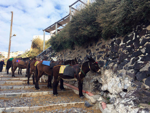 Greece Sightings in Low Season