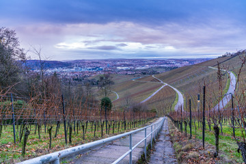 Fototapeta na wymiar Germany, Stuttgart city behind streets of kappelberg vineyards