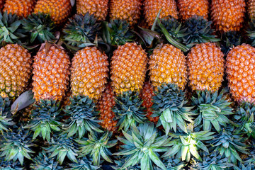 many big pineapples