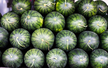 Fototapeta na wymiar fresh watermelons on the market