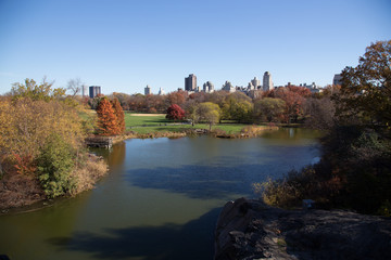 Obraz premium Autumn