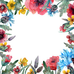 Watercolor illustration of wild flowers frame on isolated white background