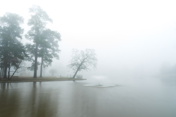 Dense Fog Covering Lake and Trees