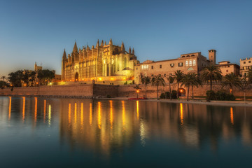 Fototapeta na wymiar Night view of the Cathedral de Santa Maria in Palma de Mallorca, Balearic islands, Spain