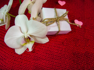 Orchid and hearts on red cloth, Valentines Day background, wedding day.