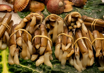 snail snails food buffet seafood market sticks