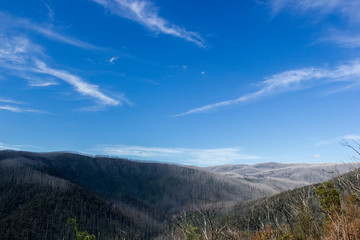 Mountains covered with dead trees, East Warburton, Australia