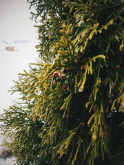 Processed with VSCO with hb2 preset