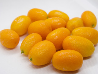 Citrus japonica, Kumquat, Cumquat 