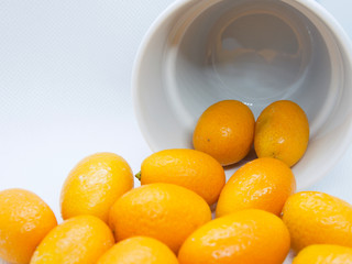 Citrus japonica, Kumquat, Cumquat 