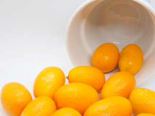 Citrus japonica, Kumquat, Cumquat 