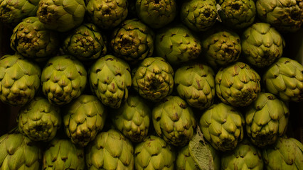 Bright Green Fresh Artichokes rows on market